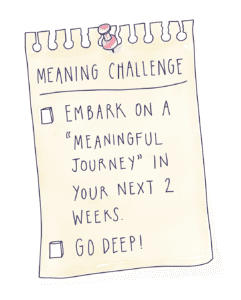 Your Meaning Challenge